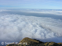 G024159: Nebelmeer über Zentralschweiz und Mittelland