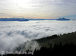 G024174: Nebelmeer über der Zentralschweiz