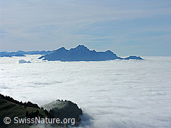 G024261: Nebelmeer und Pilatus