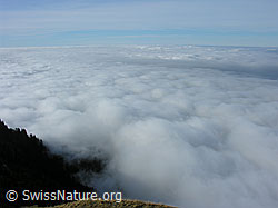 G024267: Nebelmeer über Zentralschweiz und Mittelland