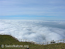 G024276: Nebelmeer über Zentralschweiz und Mittelland