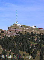 G024308: Rigi Kulm