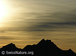G024331: Silhouette des Pilatus mit Abendstimmung