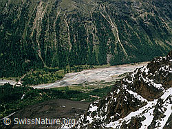 dia96113: Tiefblick vom Piz Albris
