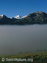 dia96119: Nebelmeer über dem Engadin