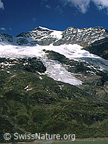 dia96137: Piz Cambrena und Piz d