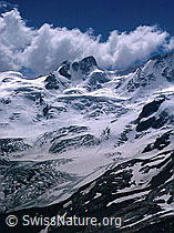 dia96150: La Sella und Roseggletscher