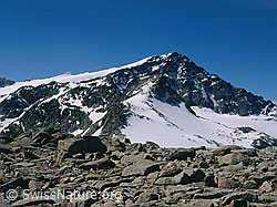 dia96171: Piz Tschierva