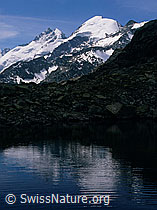 dia96178: Piz Bernina und Piz Morteratsch mit Bergsee
