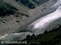 Foto: Gletscherzunge Morteratschgletscher