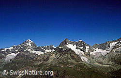 dia98160: Dent Blanche, Ober Gabelhorn und Wellenkuppe