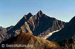 dia98166: Dom und Täschhorn
