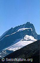 dia98168: Rimpfischhorn
