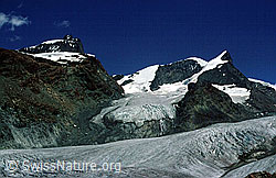 Foto: Rimpfischhorn, Strahlhorn und Adlerpass