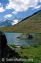 dia98190: Dent Blanche, Ober Gabelhorn und Wellenkuppe vom Stellisee