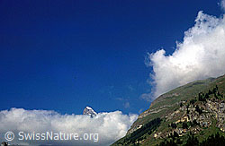 dia98192: Gipfel des Matterhorns ragt aus Wolkenschicht